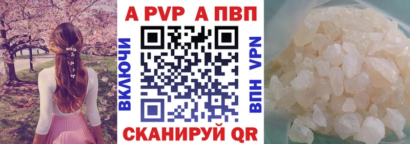 APVP СК  Прокопьевск 