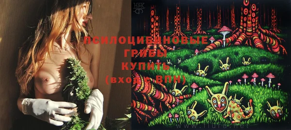 jwh Дегтярск