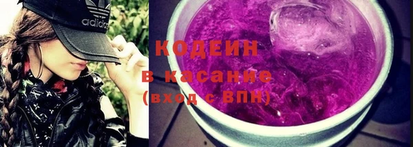прущие грибы Верхний Тагил